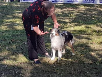 Víkend v Srbsku