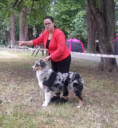Dog Expo Nitra 2023